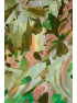 Tørklæde m/ hawaii blomst beige
